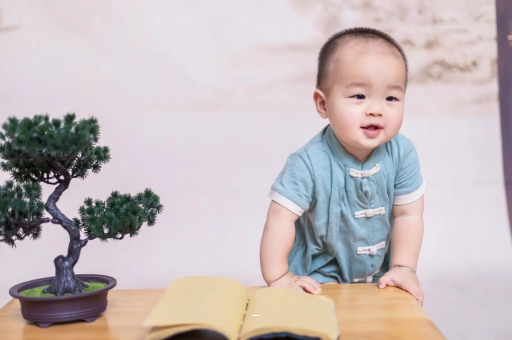孟州可爱的企鹅宝宝